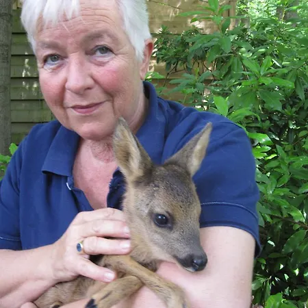 Regina Bed and breakfast 3*