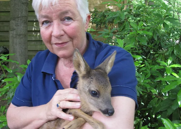 Regina فندق مبيت وإفطار 3*